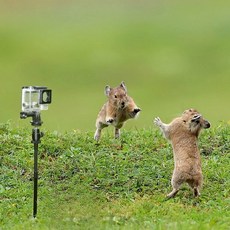 그라운드 스파이크 홀더 앵커 카메라 마운트 사냥 낚시용