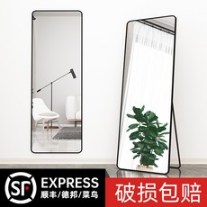 全身鏡 穿衣鏡 家用臥室落地鏡 化妝鏡 宿舍ins風, 輕奢金【圓角】,30*40cm【壁掛款】