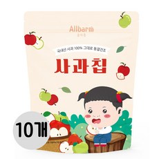 올바름 동결건조 과일칩 사과칩, 10개