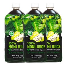 비넛 베트남 발효숙성 노니원액주스 100 1000ml 3병, 3개, 1L