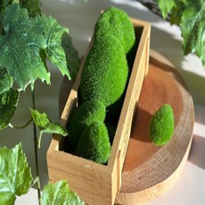 사라샵 이끼 돌 10개 조경 인테리어