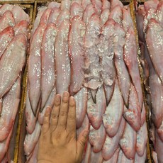 국내산 참서대 회 300g, 1개
