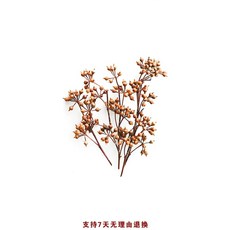 와인쿨러 와인냉장고 와인셀러 미니 실버, F. 가을 노란 기장 열매