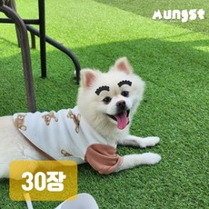 멍스트 펫페이스 강아지 고양이 속눈썹 스티커, 검정, 30개