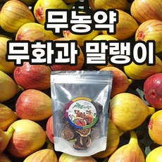 선제이피지 함평 산지직송 무농약 건무화과 말랭이, 1개, 100g