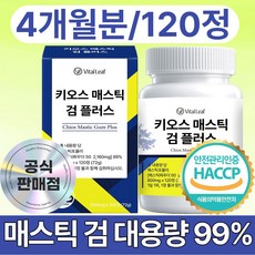 VitalLeaf 키오스 매스틱 검 플러스 식약청 인증 HACCP 제조시설, 1개, 120정