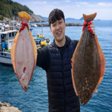 (이벤트) 자연산 대광어회 400g+100g 국내산 광어회 숙성회 주문 손질 산지에서 바로 보내는 광어회 200g, 1개, 광어 회필렛 200g