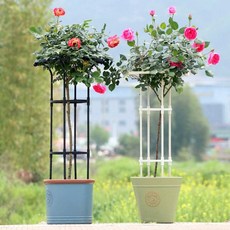 오벨리스크 장미아치 넝쿨 꽃 덩굴 지지대 스탠드, 화이트 - 높이65 x 원형직경20cm