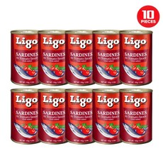 필리핀 정어리 리고 사딘스 Ligo Sardines Tomato Chili 10cans SET, 10개, 155g