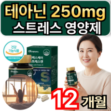 스트레스 긴장 완화 테아닌 250mg 스트레스영양제 L테아닌 휘게라이프, 60정, 6개