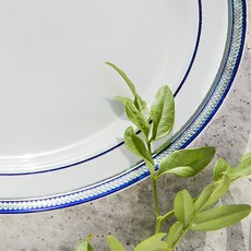 쉘리 블루라인 화이트 접시 19cm 예쁜 홈파티 일회용접시, 1개, 6개입