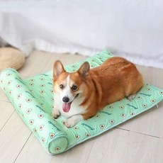 DUGNMARKT 강아지 애견 냉감 쿨매트 방석, 1개, 아보카도