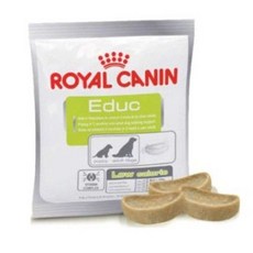 로얄캐닌 독 에듁 educ 트릿 50g X 6개