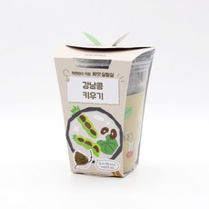저면관수화분 관리가 쉬운 식물키우기 강낭콩 어린이재배체험 베란다텃밭 원예체험