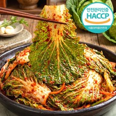 [HACCP] 특급비법양념 전라도식 국산 봄동 겉절이, 1박스, 3kg