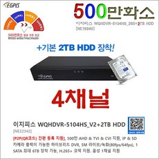이지피스 WQHDVR-5004HS_265+2TB HDD외 추가상품, 1개