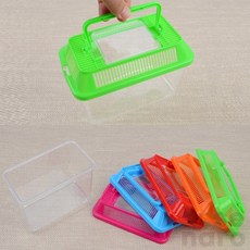 위아더 곤충 채집통 미니 사슴벌레