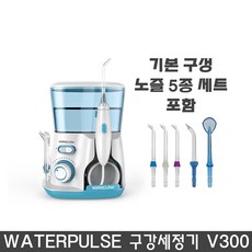 워터펄스 Waterpulse 구강세정기 V300 치석제거 추가 노즐세트, 노즐세트G, 노즐세트G