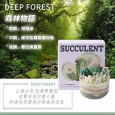 森林物語 多肉砂畫蠟燭 DIY砂蠟香薰材料包, 1個
