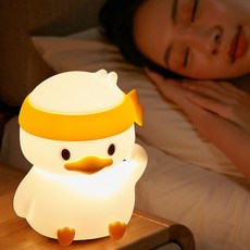 에코럭키 힘내라 오리 LED 수면 무드등 C타입 충전 불빛색상 변화 말랑말랑 소프트 재질, 힘내라 오리 무드등