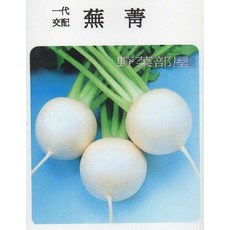 野菜部屋 一代交配 燕菁蕪菁種子, 1包