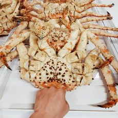 킹크랩 러시아 동해 속초 최상급 초대형 자숙킹크랩 1.5kg~5kg, 1박스, 킹크랩 3.5KG