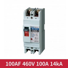 진흥 460V 100A 2P2E 100AF 산업용 배선차단기 가설 전기실 MCCB, 1개