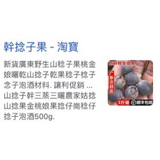 霏霏園藝 幹棯子果盆栽，大陸品種, 1個