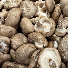 [당일수확] 국내산 가성비 못난이 표고버섯 파지 산지직송, 1개, 1kg