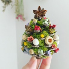 聖誕手作 松果聖誕樹 聖誕節裝飾松果手工材料包 苔癬聖誕樹, 淺綠色苔癬-小號-松果高約8-10cm,非成品要自己DIY, 1個