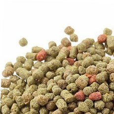 금붕어밥 금붕어 사료 금붕어키우기 금붕어먹이 금붕어용품 150g, 본상품