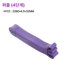 고탄성 풀업밴드 턱걸이 보조 운동 밴드 단계별 5종 저항 밴드 홈트레이닝 근력 강화, 풀업밴드 4단계 - 퍼플, 1개