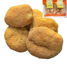 건조 노루궁뎅이 버섯 원물 무농약 GAP 국산, 1세트, 100g