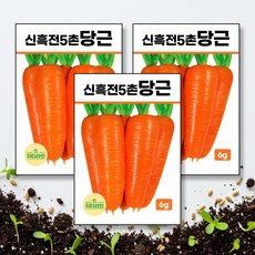 신흑전5촌당근 씨앗 종자 6g, 3개