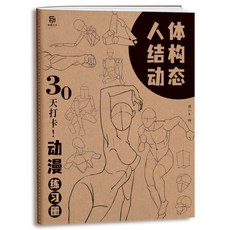 人體結構動態解析 描摹本, 30天打卡動漫練習冊