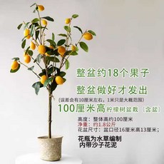 레몬나무 가지 조화분 트리 귤 장식용 인공, 1개, 18개 레몬 과수 분재 90-100cm