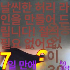 진동벨트 슬리밍 뱃살 뱃살빼는 복근 뱃살빼기 기계 덜덜이 운동기구 감량 허리 체중 안마기, 기본 모델명/품번