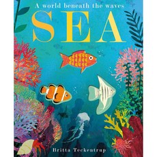 Sea Britta Teckentrup 經濟學/商業, 詳見詳細資訊
