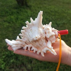 나각 뿔나팔 대형 뿔피리 소라 껍데기 호루라기 뱃고동, 8-10cm Qilin 달팽이 크기