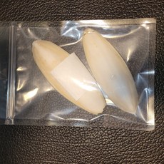 펫인피니티 갑오징어뼈 앵무새 소라게 거북이 햄스터 달팽이 소동물 미네랄 천연 칼슘 보충제 이갈이 부리강화, 2개, 25g