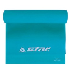 스트레칭밴드 TPE 200 x 15cm 5단계 (블루)(EU56407), 1개