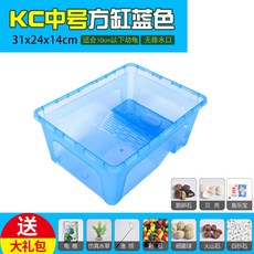 生態烏龜缸 大容量水龜/半水龜通用飼養缸, 中號藍色KC缸+大禮包, 1個