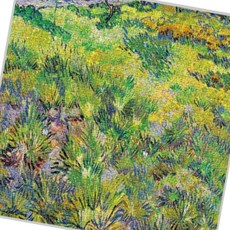 애니메이션 풀과나비1890 직소퍼즐 길게자란 1014피스 55545ea 1(EA), 1개