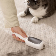 고양이 털 제거기 핸디형 카페트 청소 의류 먼지 침구 반려동물 휴대용 강아지 클리너 침대털 간편 관리