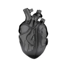 BOBrc 心臟造型耳機保護套 時尚個性 獨特設計 便攜耐用, 透黑, 1個, airpods pro/pro2通用