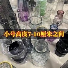 玻璃花瓶 簡約ins風客廳餐桌面擺件, 隨機小號兩個+泡沫盒包裝