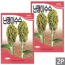 세인화분 국산 난쟁이 수수 20g - 씨 씨앗 수수씨 수수씨앗, 2개