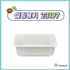 23197 화이트