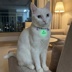 야광 이름표 비즈 고양이 목걸이, 보라(발자국), 1개
