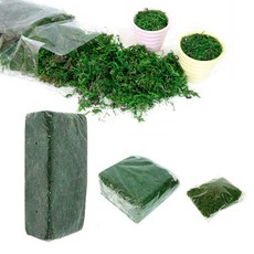 흙쟁이 청이끼 화분장식 각종인테리어 원예부자재 조화, 청이끼 소포장 1개, 1개